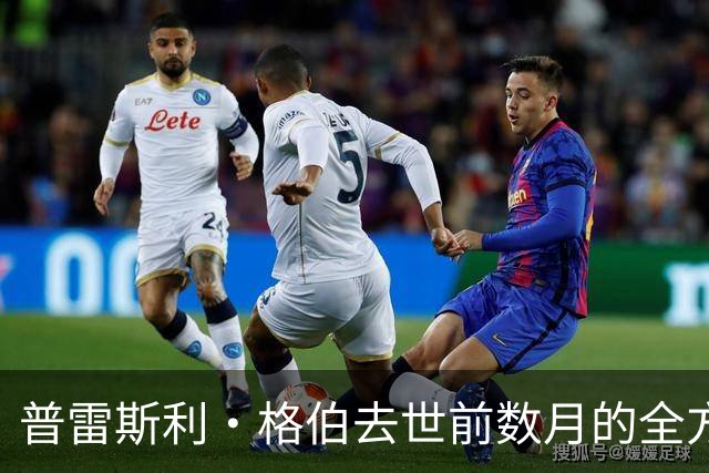 普雷斯利·格伯去世前数月的全方位陪护曝光